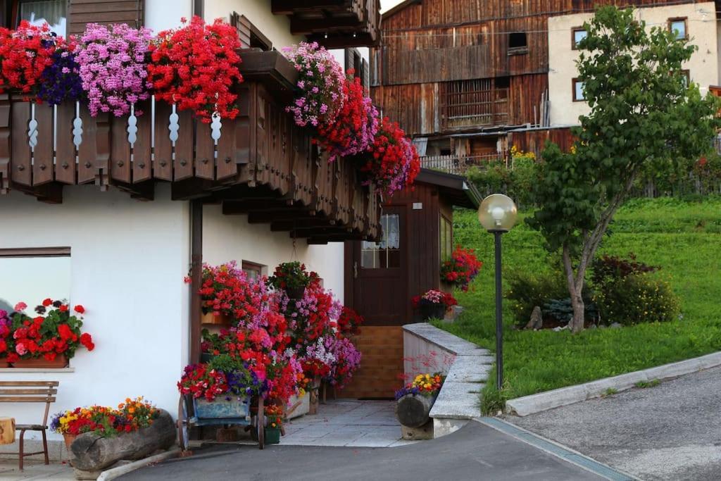 Piccola Suite Sul Civetta Colle Santa Lucia Buitenkant foto
